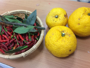 ゆずと唐辛子