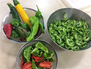 採れたて夏野菜
