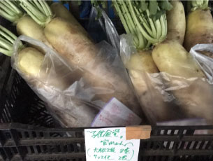 農家さんからの大根