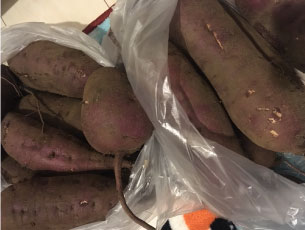 農家さんからのさつまいも