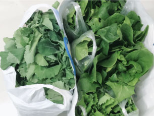 のらぼう菜></li>
<li><img src=